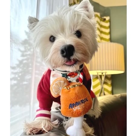 apawrol spritz hundespielzeug haute diggity dog – Bild 6