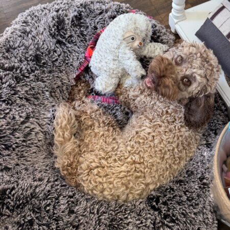 sämy der slotty in love – Bild 4