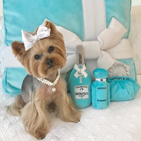 sniffany champagner – Bild 7