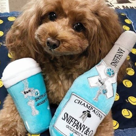 sniffany champagner – Bild 5